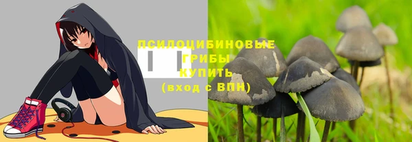 ГАЛЛЮЦИНОГЕННЫЕ ГРИБЫ Абдулино