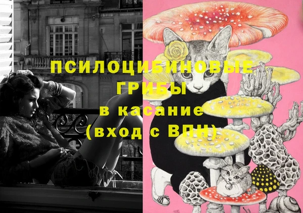 герыч Абаза